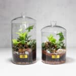 تراریوم TR04 - Image 4