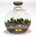 تراریوم TR05 - Image 6