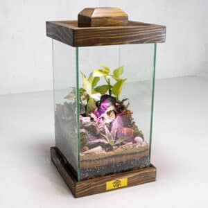 گل و گیاه برای جشن فارغ التحصیلی