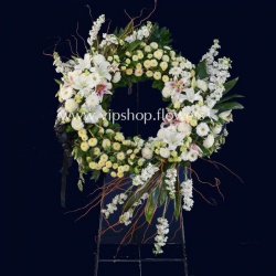 خرید گل شب بو