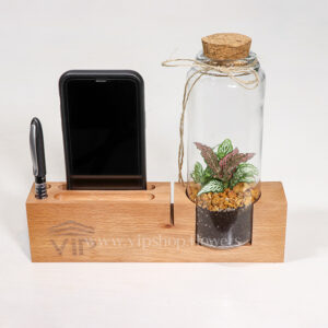 گیاه تراریوم شماره 11- گلفروشی آنلاین VIP Shop