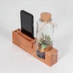 گیاه تراریوم شماره 11- گلفروشی آنلاین VIP Shop