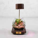 تراریوم شماره 12 - گلفروشی آنلاین VIP Shop