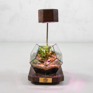 تراریوم شماره 12 - گلفروشی آنلاین VIP Shop