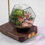 تراریوم شماره 12 - گلفروشی آنلاین VIP Shop