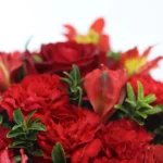 باکس گل B208 - Image 5