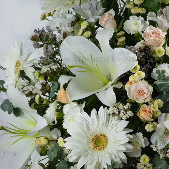 باکس گل شیپوری