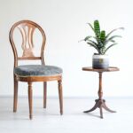 ورزیا زبرا کوچک یک گل مناسب برای نگهداری در منزل است.