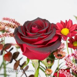 گل یلدای Y12 - 48
