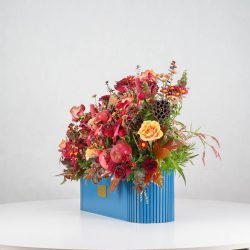 گل یلدای Y12 - 11