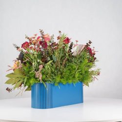 گل یلدای Y12 - 20