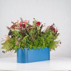 گل یلدای Y12 - 21