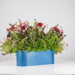 گل یلدای Y12 - 22