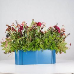 گل یلدای Y12 - 23