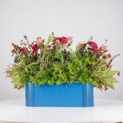 گل یلدای Y12 - 25