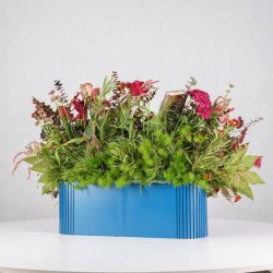 گل یلدای Y12 - 26
