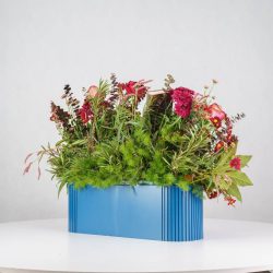 گل یلدای Y12 - 28