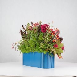 گل یلدای Y12 - 29