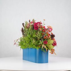 گل یلدای Y12 - 30