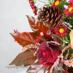 گل یلدای Y12 - 51