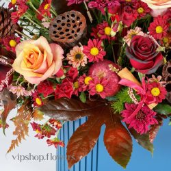 گل یلدای Y12 - 44
