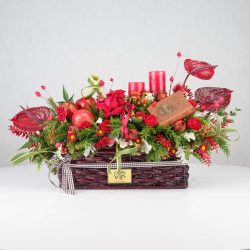 گل یلدای Y13 - 2