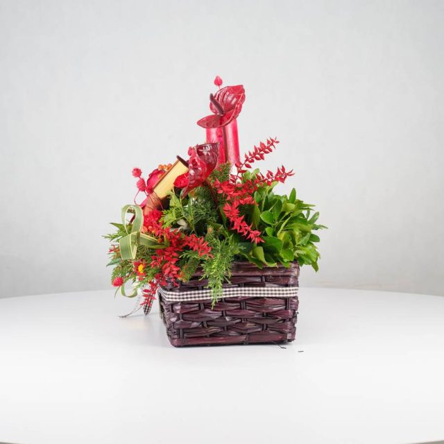 گل یلدای Y13 - 14