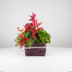 گل یلدای Y13 - 15