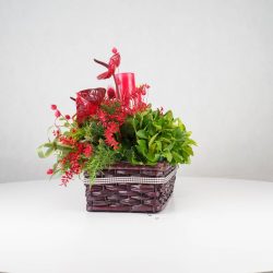 گل یلدای Y13 - 16