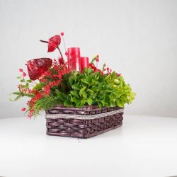 گل یلدای Y13 - 18