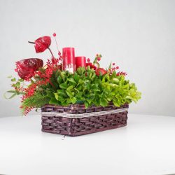 گل یلدای Y13 - 19