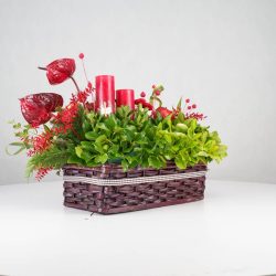 گل یلدای Y13 - 20