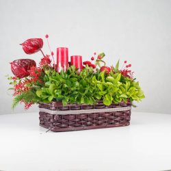 گل یلدای Y13 - 21