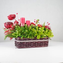 گل یلدای Y13 - 22