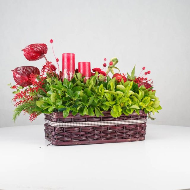 گل یلدای Y13 - 22