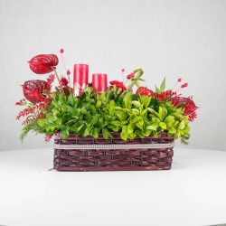 گل یلدای Y13 - 23