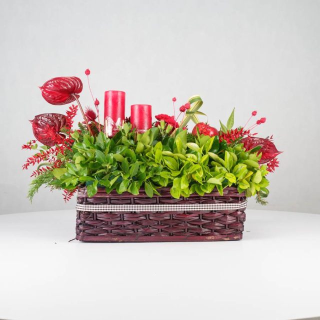 گل یلدای Y13 - 23