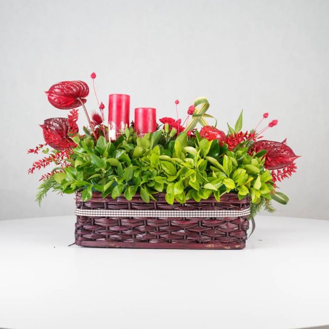 گل یلدای Y13 - 24