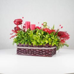 گل یلدای Y13 - 25