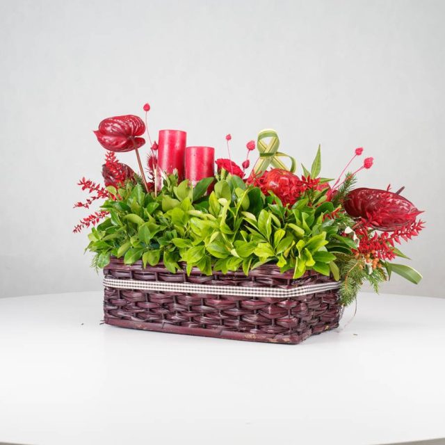 گل یلدای Y13 - 26