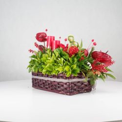 گل یلدای Y13 - 27
