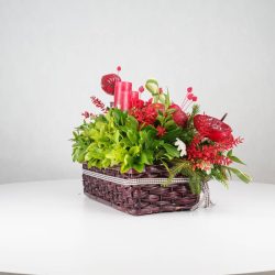 گل یلدای Y13 - 28