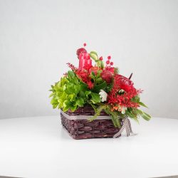 گل یلدای Y13 - 29