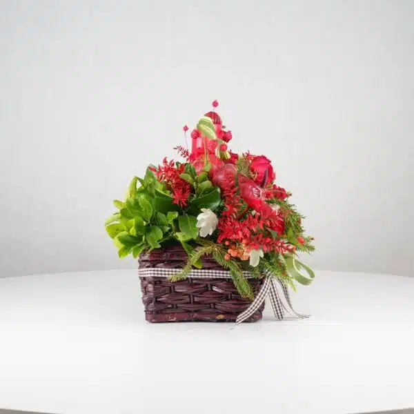 گل یلدای Y10 - Image 12