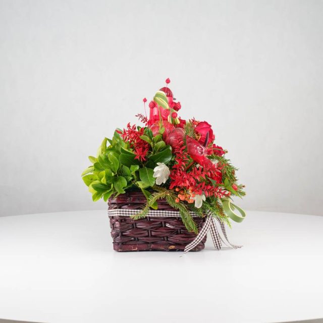 گل یلدای Y13 - 30