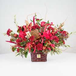 گل یلدای Y09 - 2