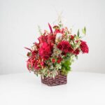 گل یلدای Y09 - Image 11