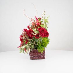 گل یلدای Y09 - 14