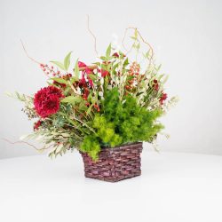 گل یلدای Y09 - 18