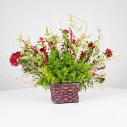 گل یلدای Y09 - 20
